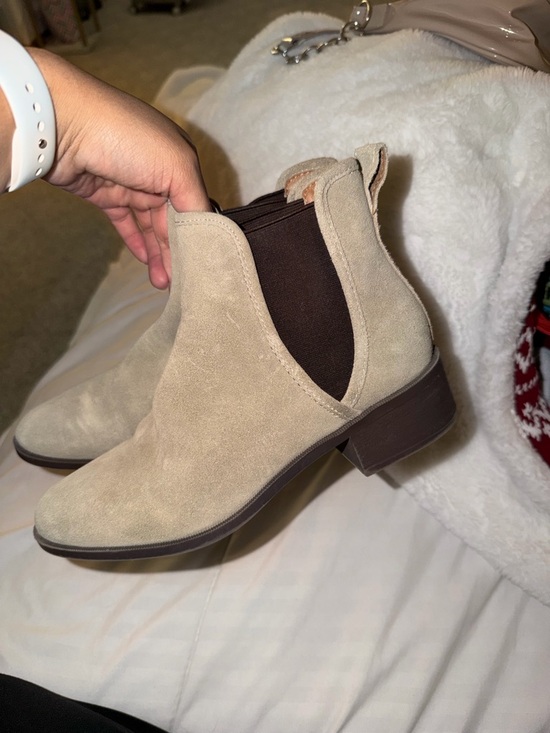 Steve Madden Shoes - Steve Madden Beige Suede Chelsea Ankle Boots with Brown Elastic